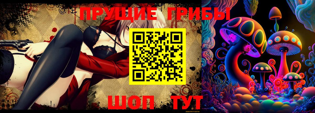 Кисловодск  Псилоцибиновые грибы Cubensis  Вход с VPN  Галлюциногенные грибы Psilocybe 
